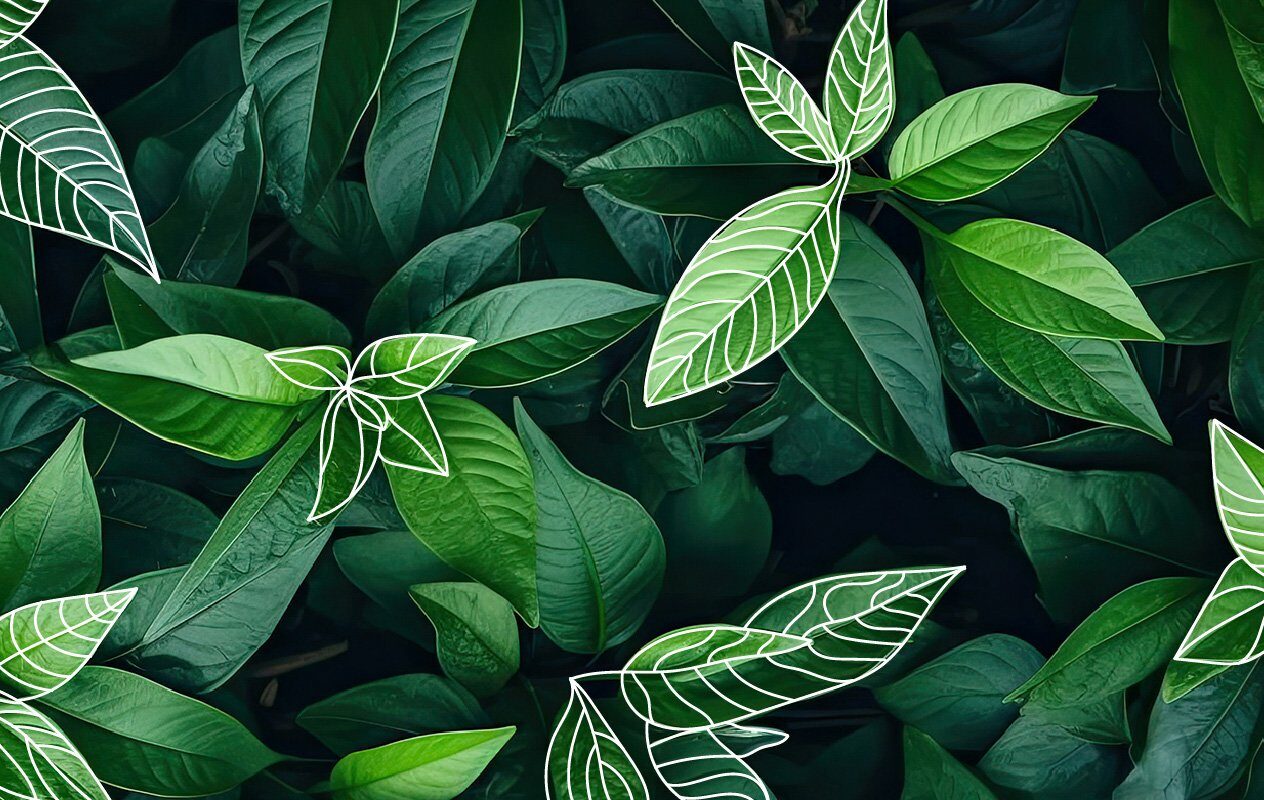 green-bits-4°-incontro-header